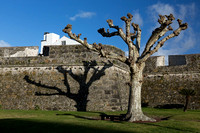 Ponta Delgada, Forte de S. Brás - São Miguel