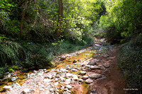 Zion NP -Taylor Creek Trail