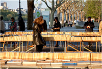 Along the Thames (Book Flea Market)