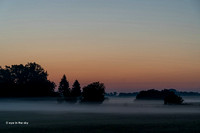 Morgennebel auf Gotland