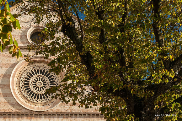 Assisi, Chiesa di S. Chiara - Detail