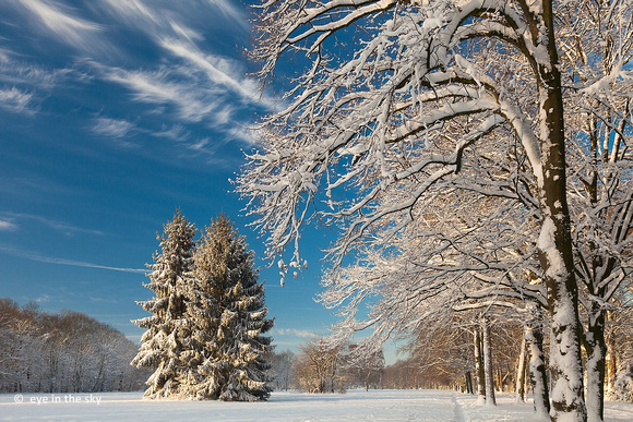 Winter