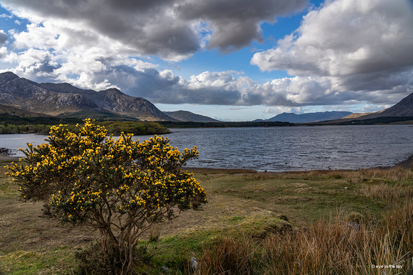 Connemara