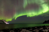 Polarlichter über dem Steinfjord, Senja