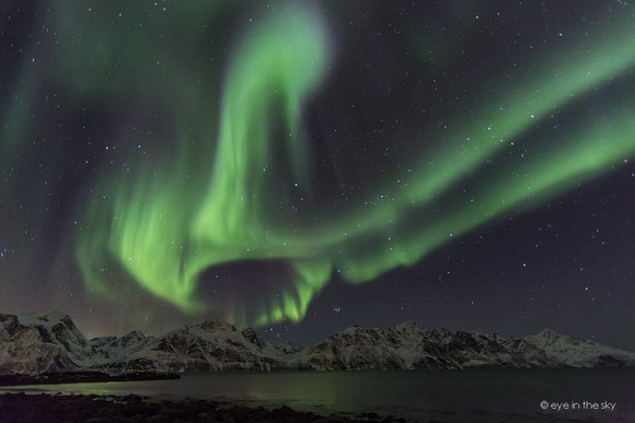 Polarlichter am Lyngenfjord, Norwegen
