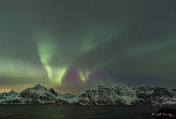 Polarlichter am Lyngenfjord