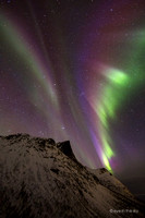 Polarlichter über dem Bergsfjord, Senja
