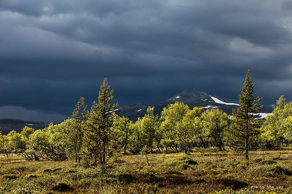 Femundsmarka Nationalpark