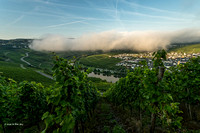 Nebel über Trittenheim