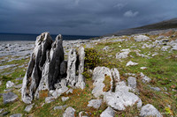 The Burren