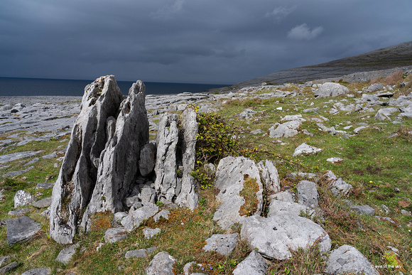 The Burren